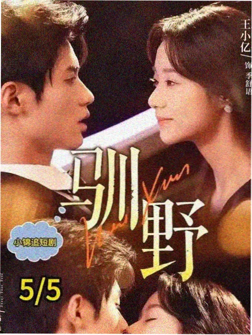 巴黎暗影-海外电视剧推荐